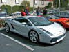 Silver Gallardo