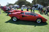 Ken Blackman's Countach at the Bertone Centerpiece Exhibit