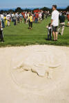 Sand Sculpture