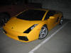 Gallardo