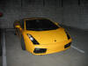 Gallardo