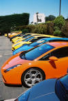 Lined up for lunch at Bodega Bay