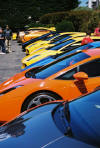 Lined up for lunch at Bodega Bay